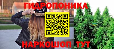 гидропоника Заводоуковск