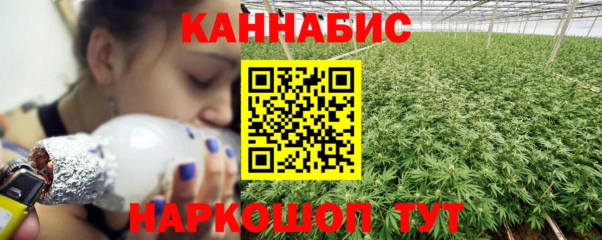 Канабис планчик Озёрск